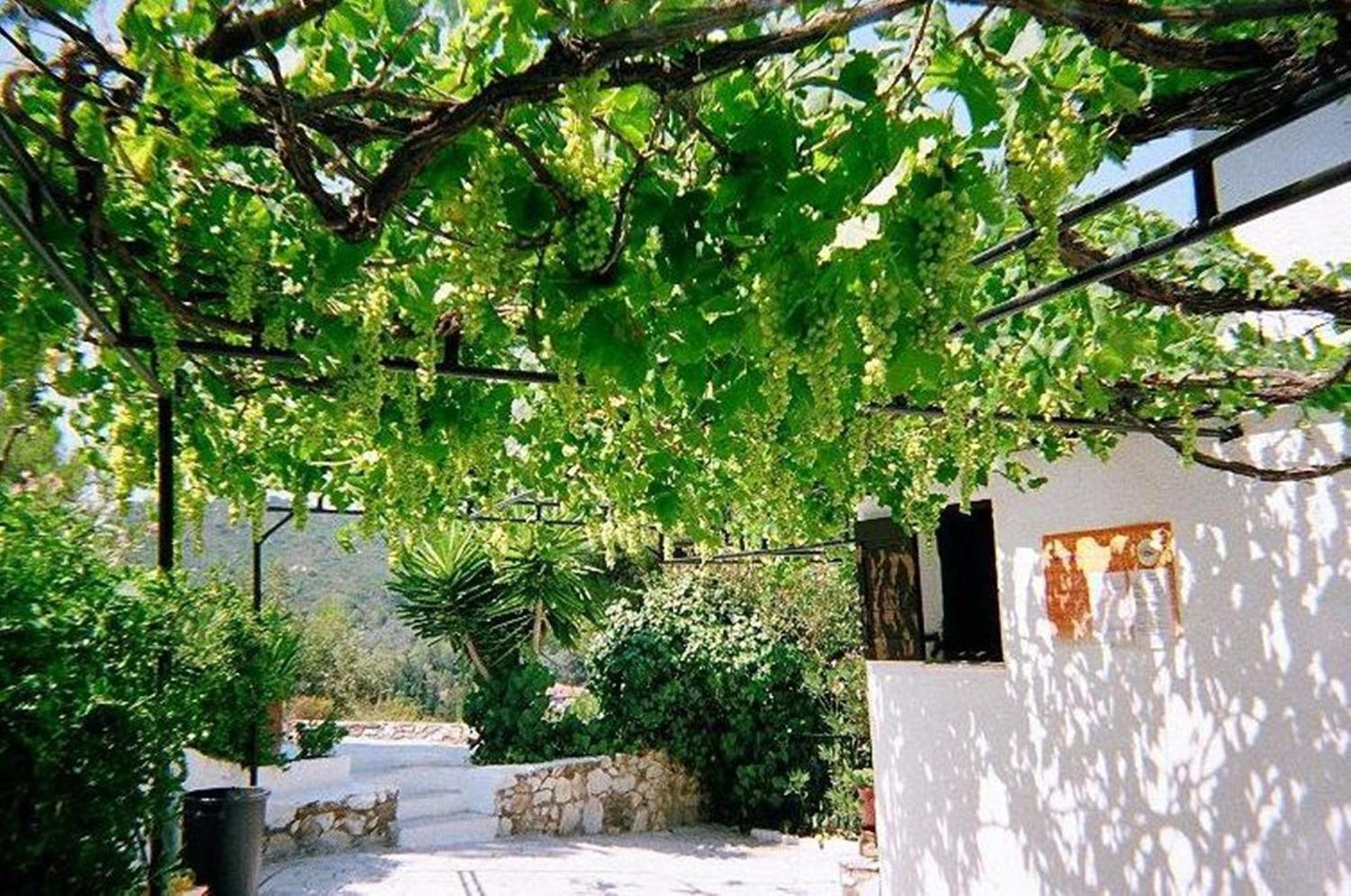 Villa Elpiniki Trúlosz Kültér fotó